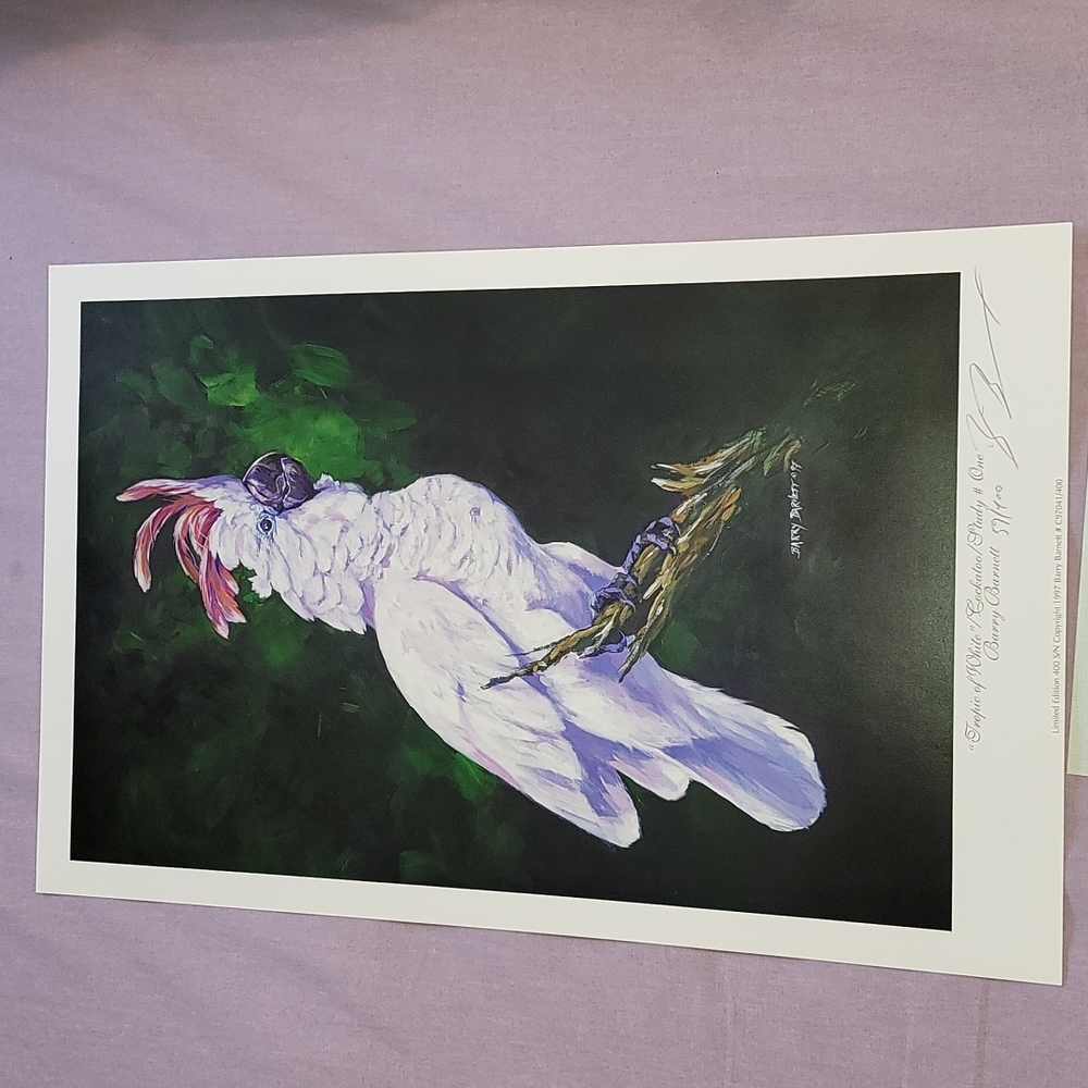 Tropic of White Cockatoo Limited Edition Print
